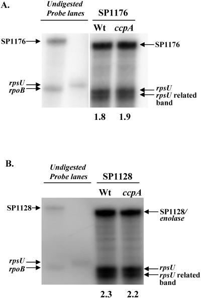 FIG. 5.