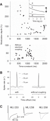 Fig. 8.