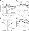 Fig. 10.