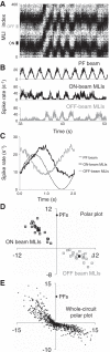 Fig. 4.