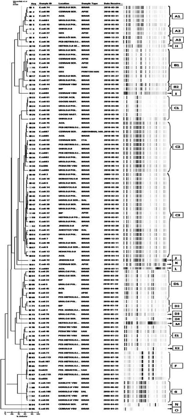 Fig.2