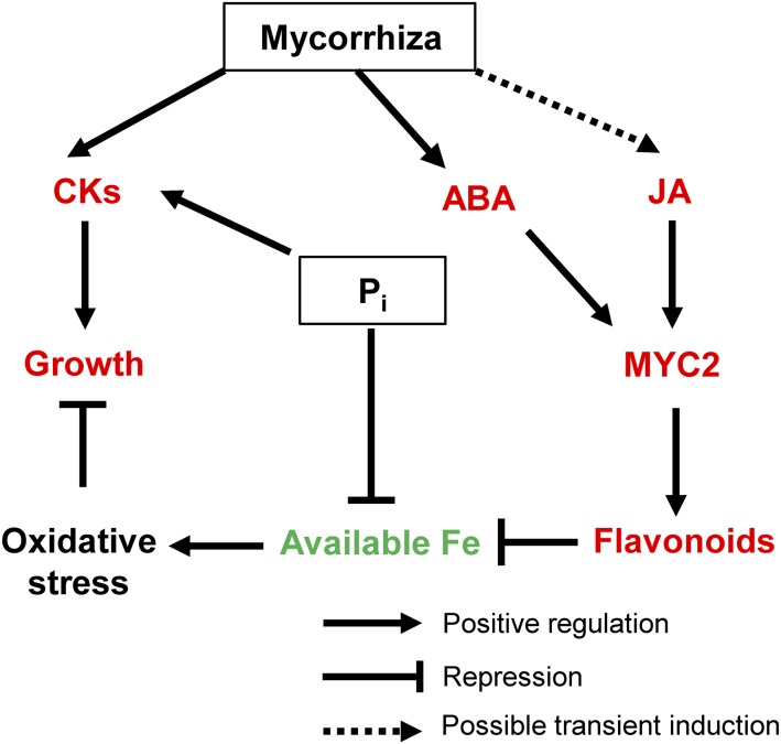 Figure 6.