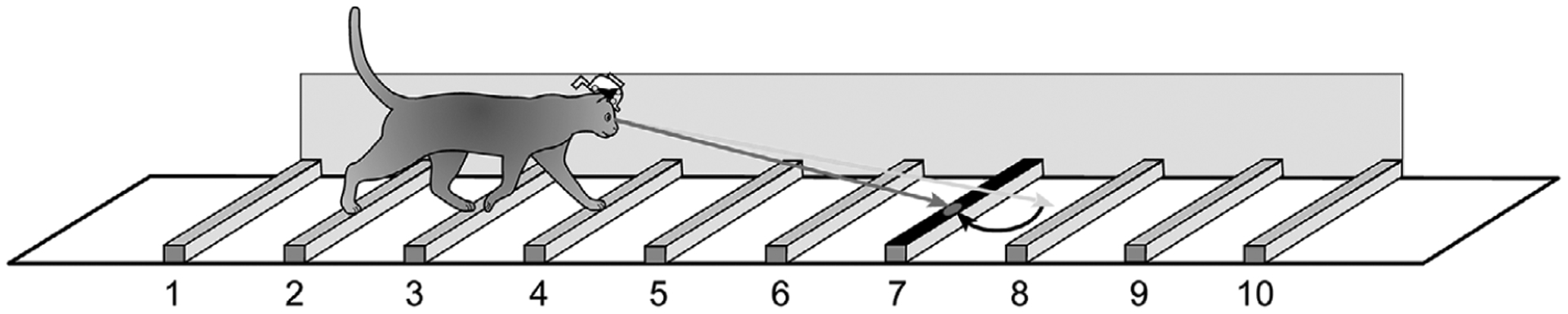 Figure 16.