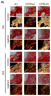 Appendix Figure 2