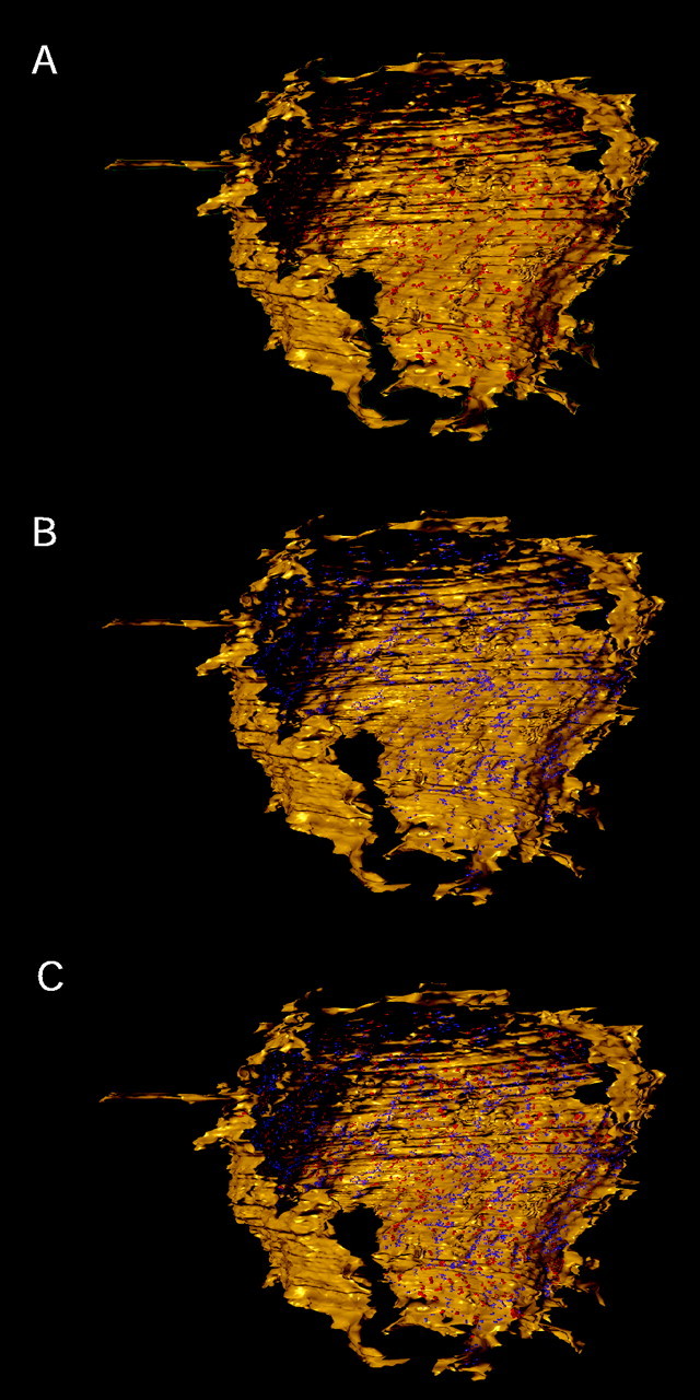 Fig. 8.