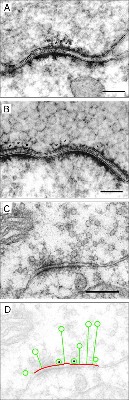 Fig. 10.