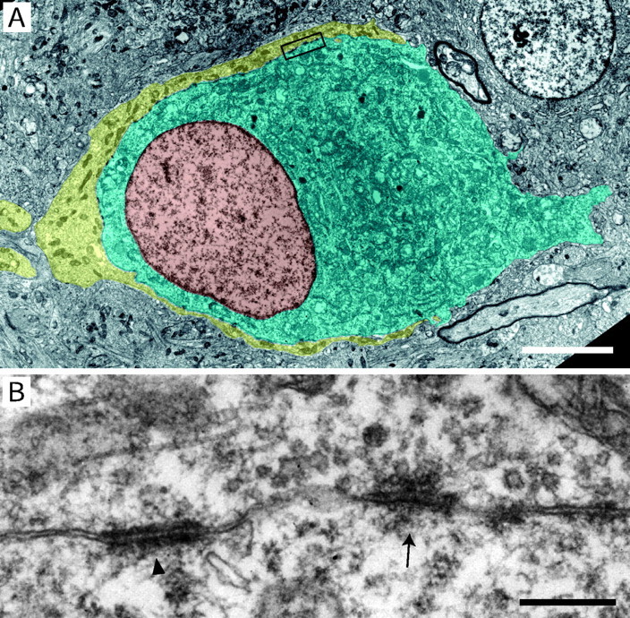 Fig. 2.