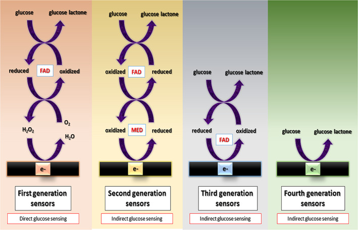 FIGURE 1