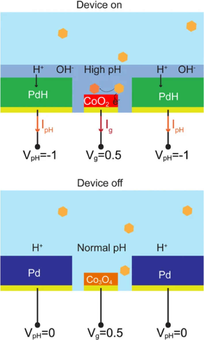 FIGURE 3