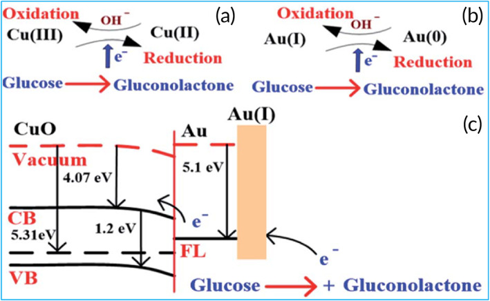 FIGURE 4