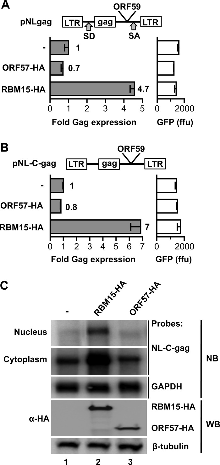 Fig 5