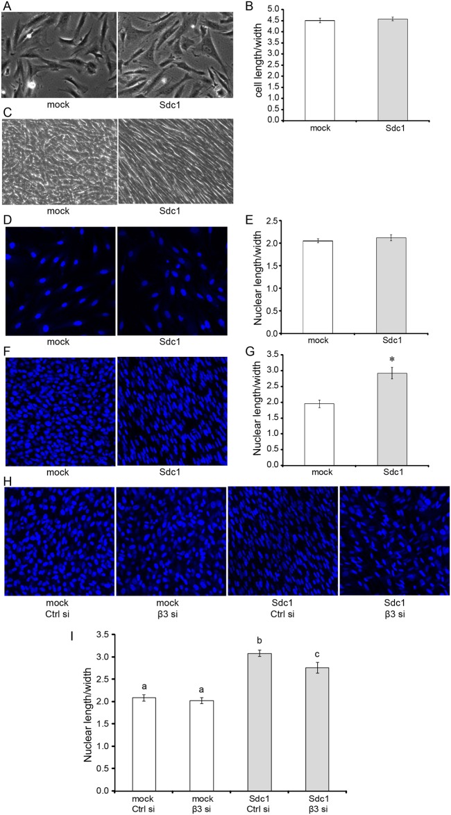 Fig 8