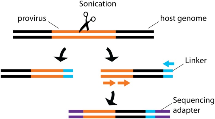 FIGURE 4