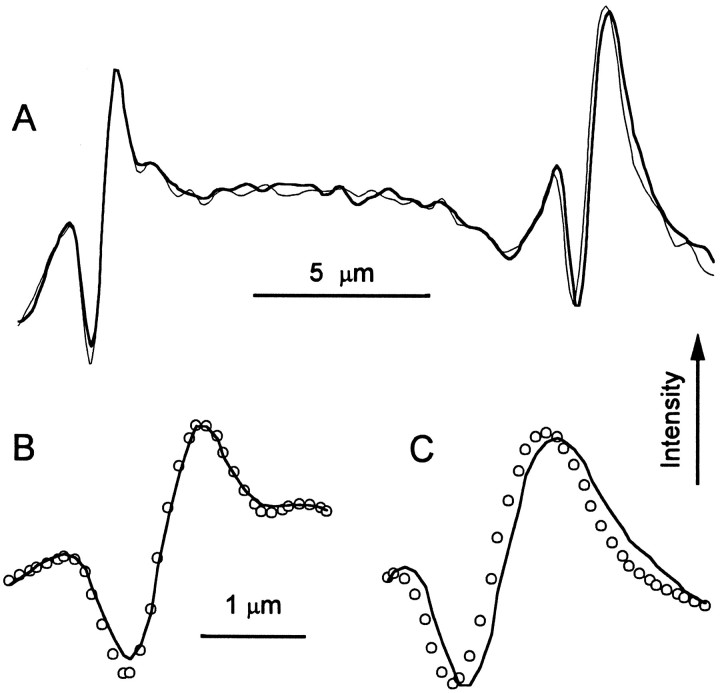 Fig. 8.