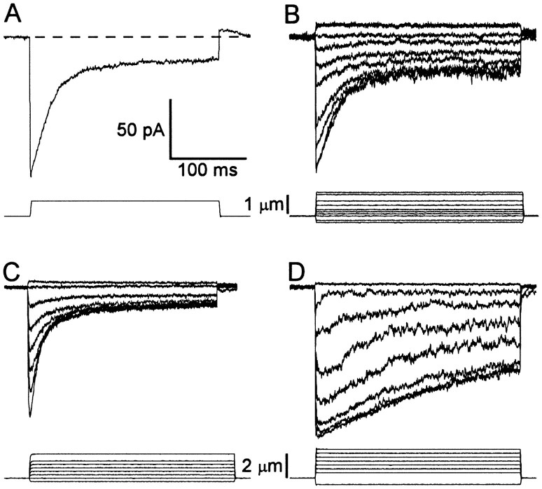 Fig. 2.