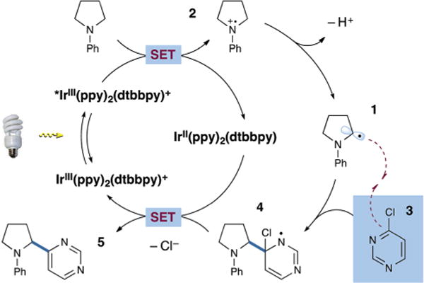 Scheme 1