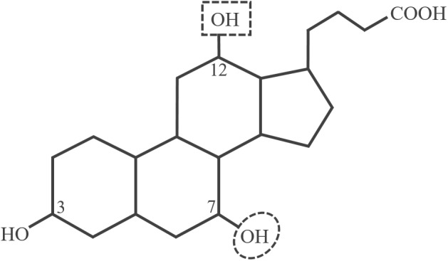 FIGURE 1