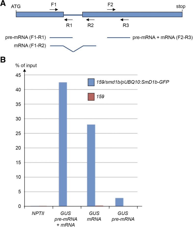 Figure 7.