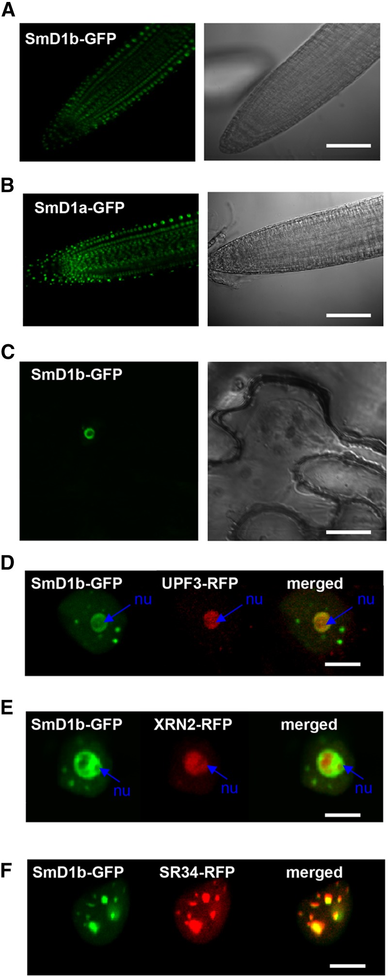 Figure 3.