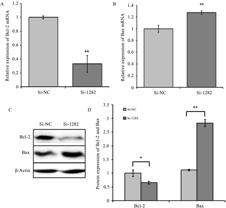 Fig 11