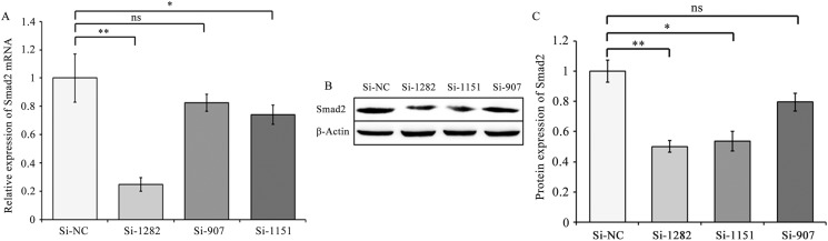 Fig 5