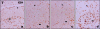 Fig. 7