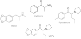 Fig. 1