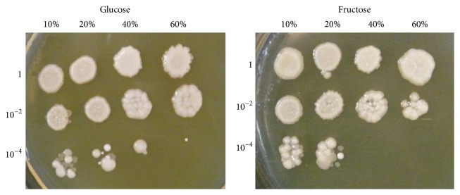 Figure 6