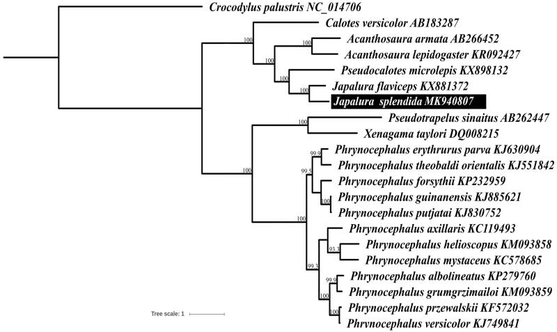 Figure 1.