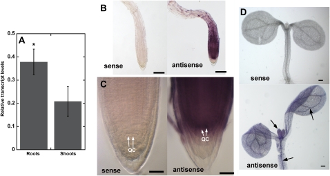 Figure 4.