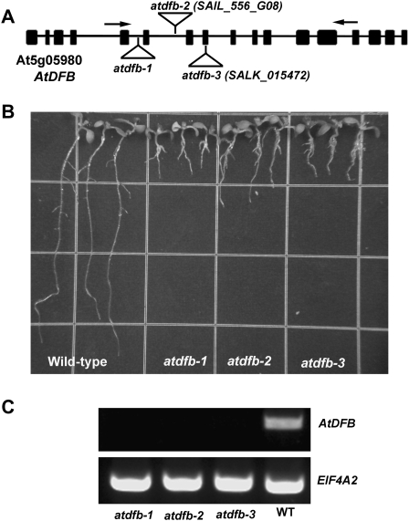 Figure 3.