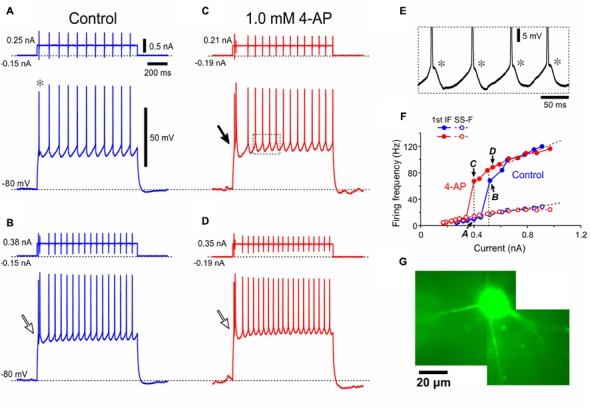 FIGURE 4