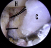 Fig 7