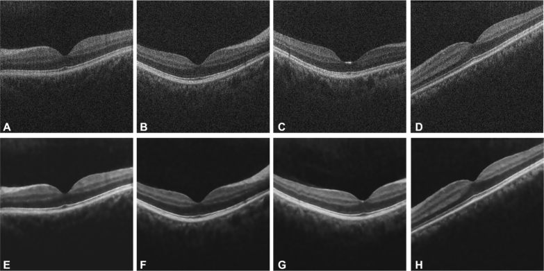 Fig. 4.