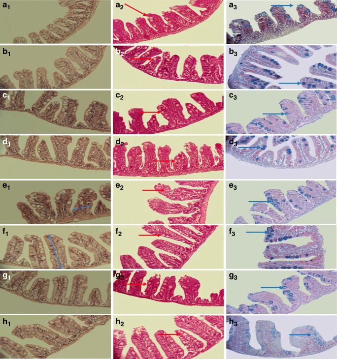 Fig. 7