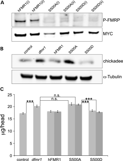 Figure 2.