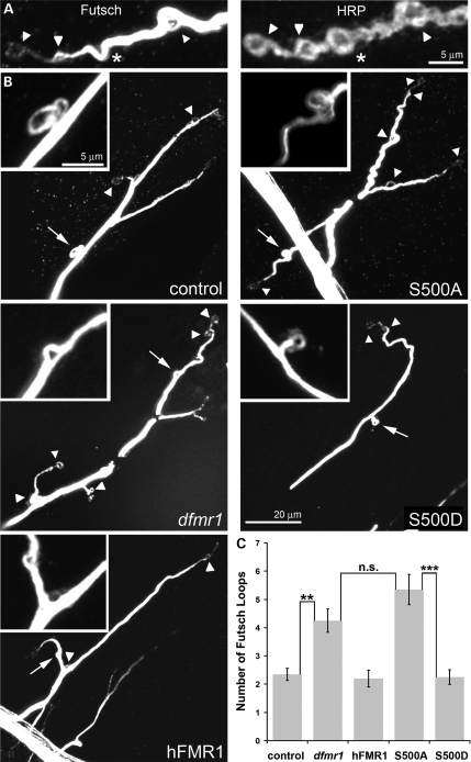 Figure 5.