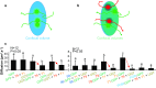 Fig. 3