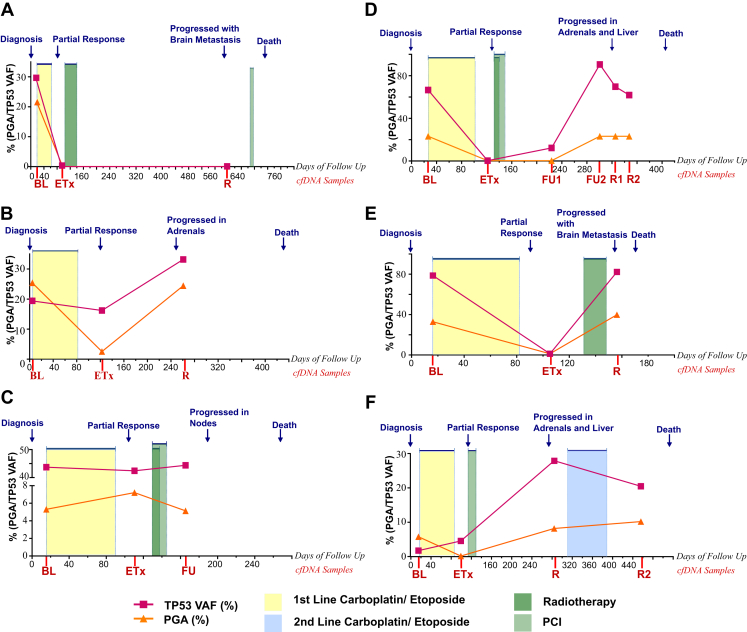 Figure 6