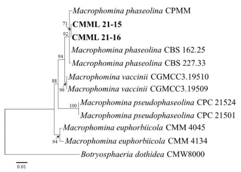 Figure 6