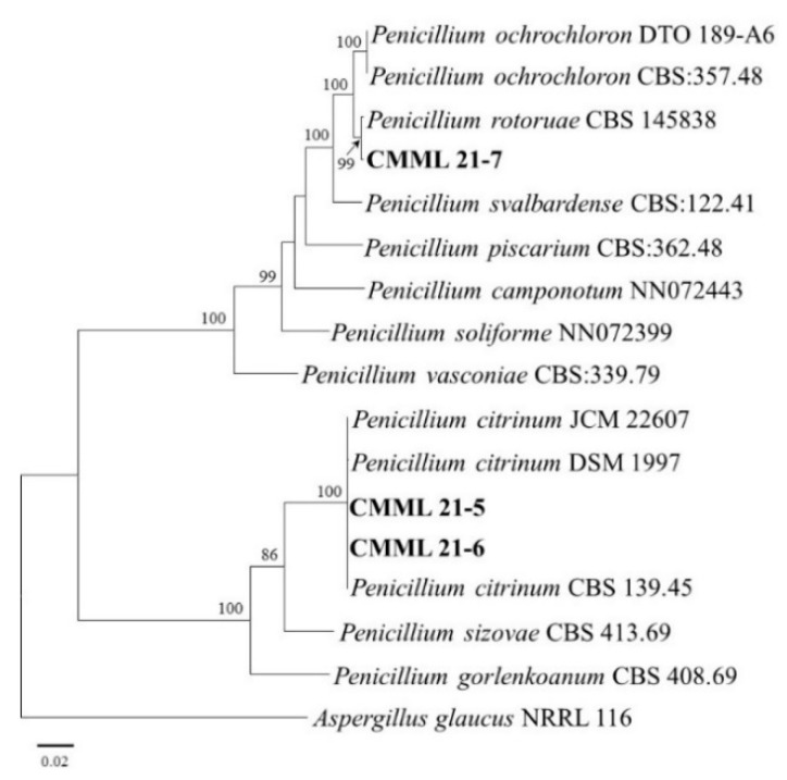 Figure 4