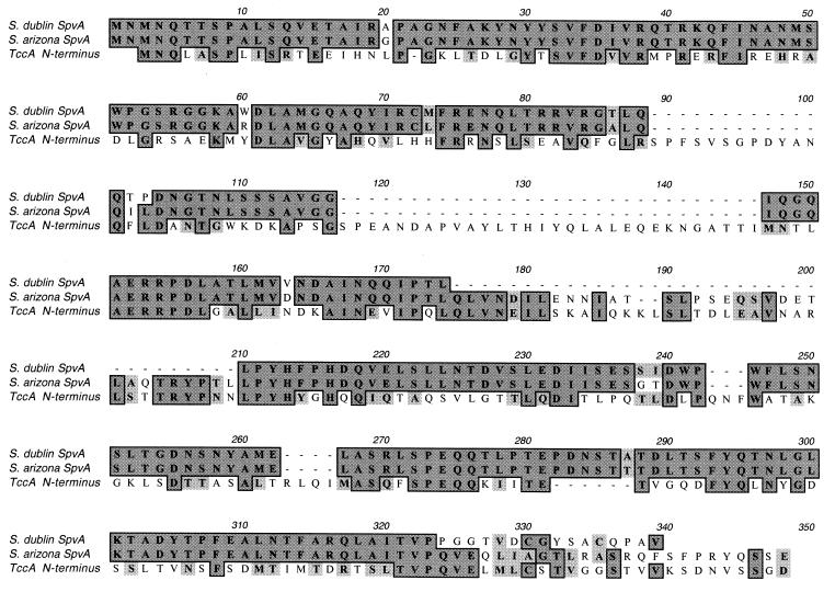 FIG. 5.