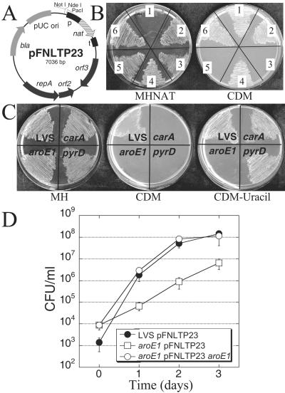 FIG. 4.