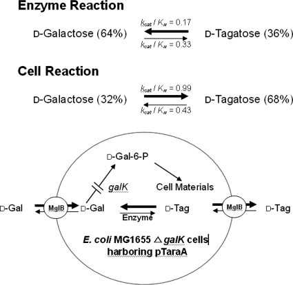 FIG. 7.