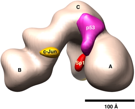 Figure 7.