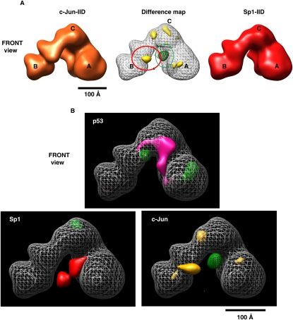 Figure 5.