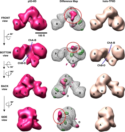 Figure 2.