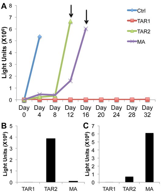 Fig. 7: