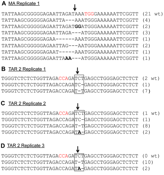 Fig. 8: