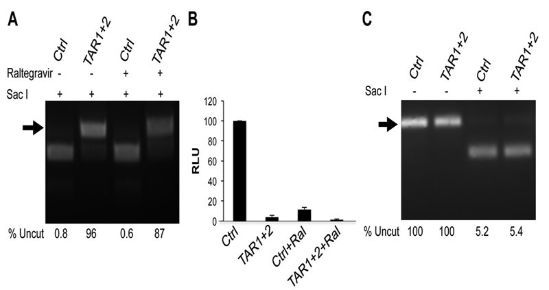 Fig. 5: